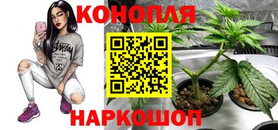 ECSTASY Пенза